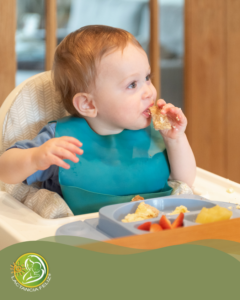 Centro de Nutrición y Salud infantil - Asesora Internacional de Lactancia Materna infantil - Alimentación complementaria Baby Led Weaning